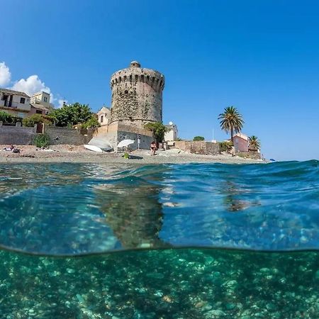 Agreable Studio Debut Cap Corse Proche Bastia San-Martino-di-Lota Exterior photo