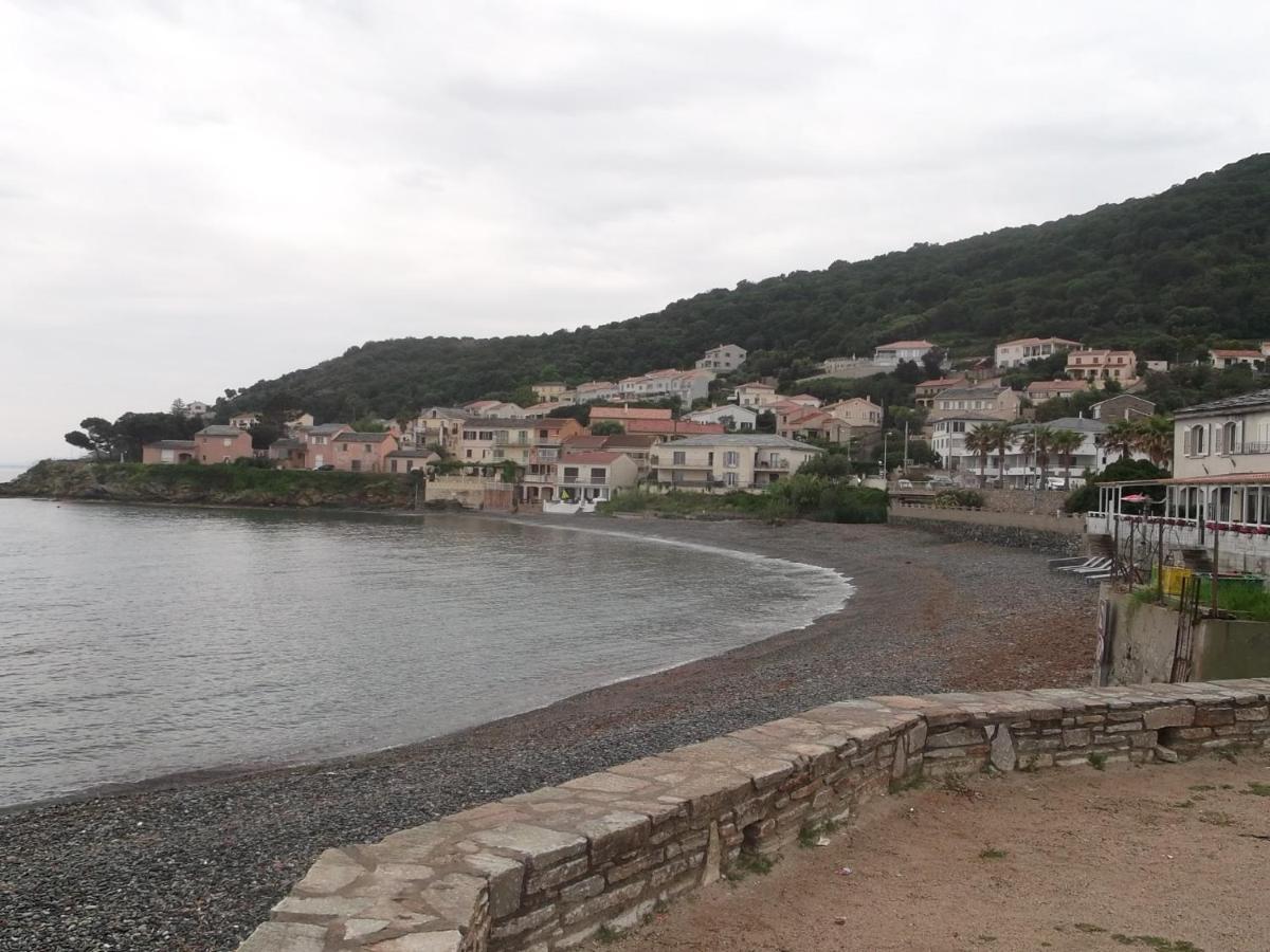 Agreable Studio Debut Cap Corse Proche Bastia San-Martino-di-Lota Exterior photo